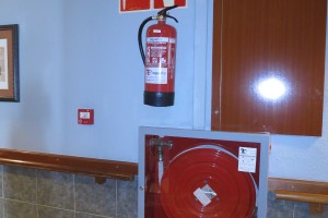 IMG_3908 IMG_3908