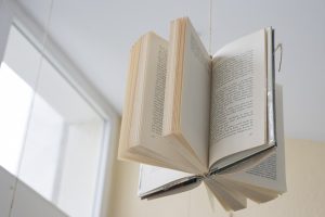 Detalle escaparate dia del libro